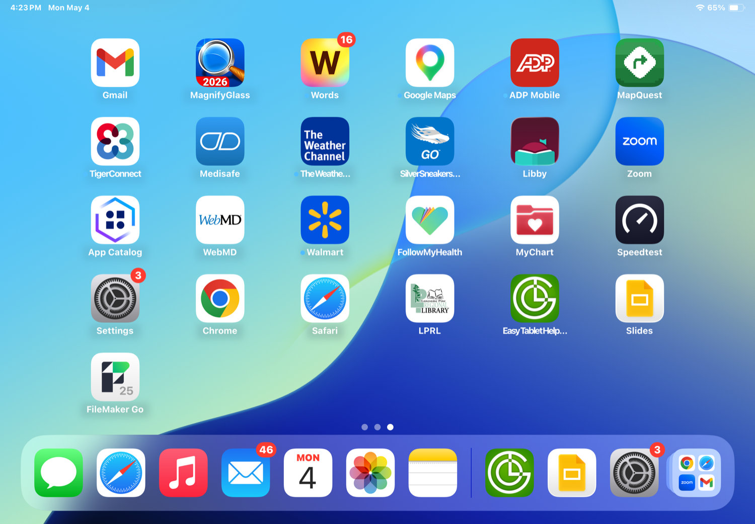 iPad home screen with the senior app set